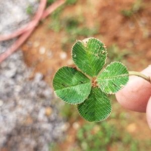 Meet your Posher, Garrett